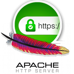 Cara Mengaktifkan Protokol HTTPS atau Mod SSL pada Web Server Apache